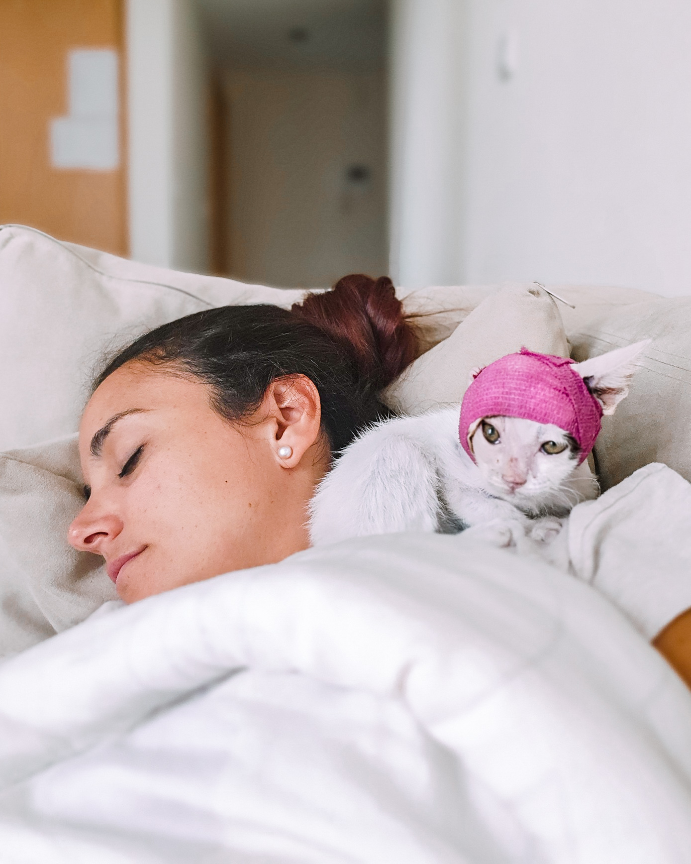 Gatinhos gravemente feridos encontrados nas ruas de Dubai fazem uma recuperação incrível com um veterinário atencioso