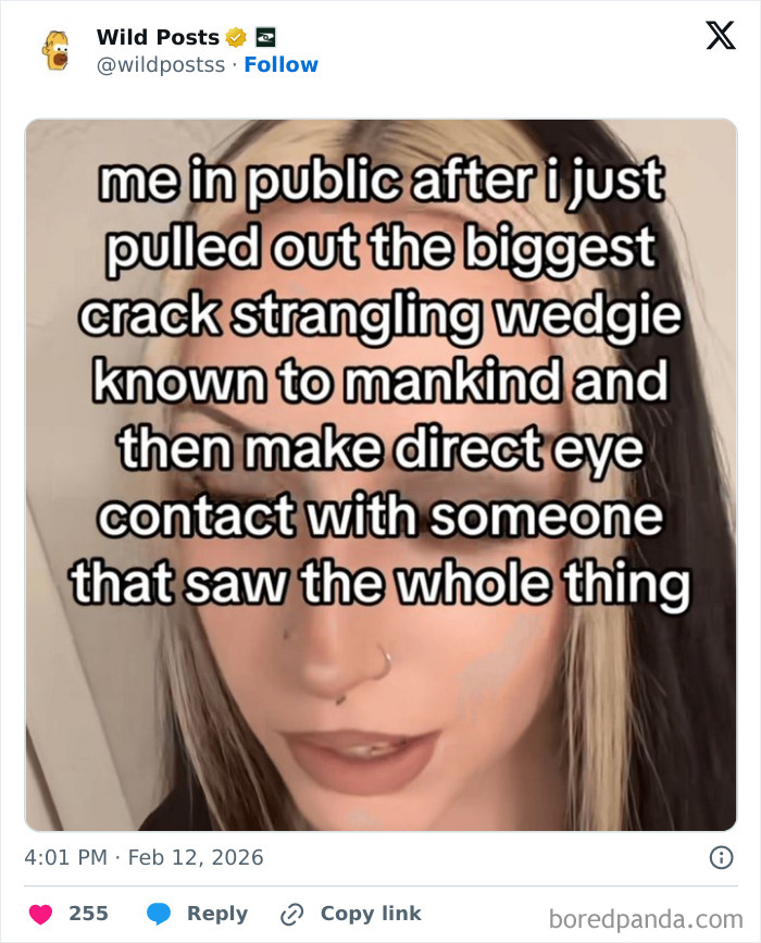 Wild-Internet-Posts