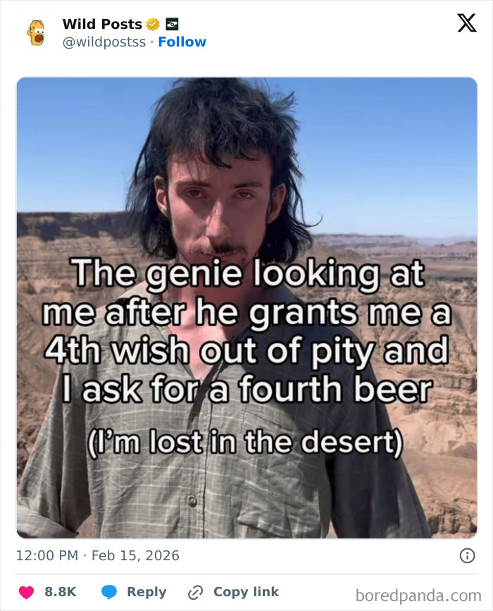 Wild-Internet-Posts