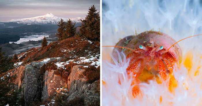 31 Stunning Photos That Celebrate Scotland’s Wild Side Have Been Shared By The 2025 SNPA