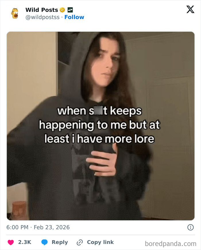 Wild posts meme of a person in a black hoodie with the text: "when s**t keeps happening to me but at least i have more lore."