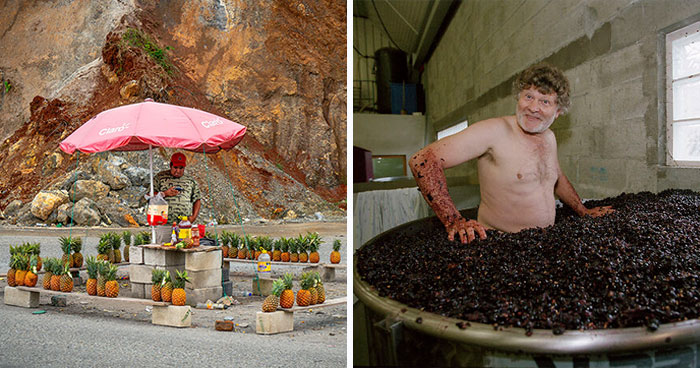 The 2026 World Food Photography Awards Shortlist Has Been Announced (35 Pics)