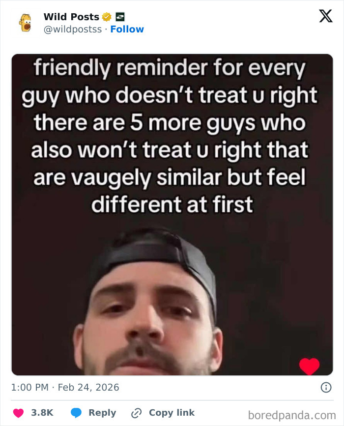 A Wild Posts tweet features a man and text: "friendly reminder for every guy who doesn't treat u right there are 5 more guys who also won't treat u right that are vaguely similar but feel different at first." Wild posts for a real man.