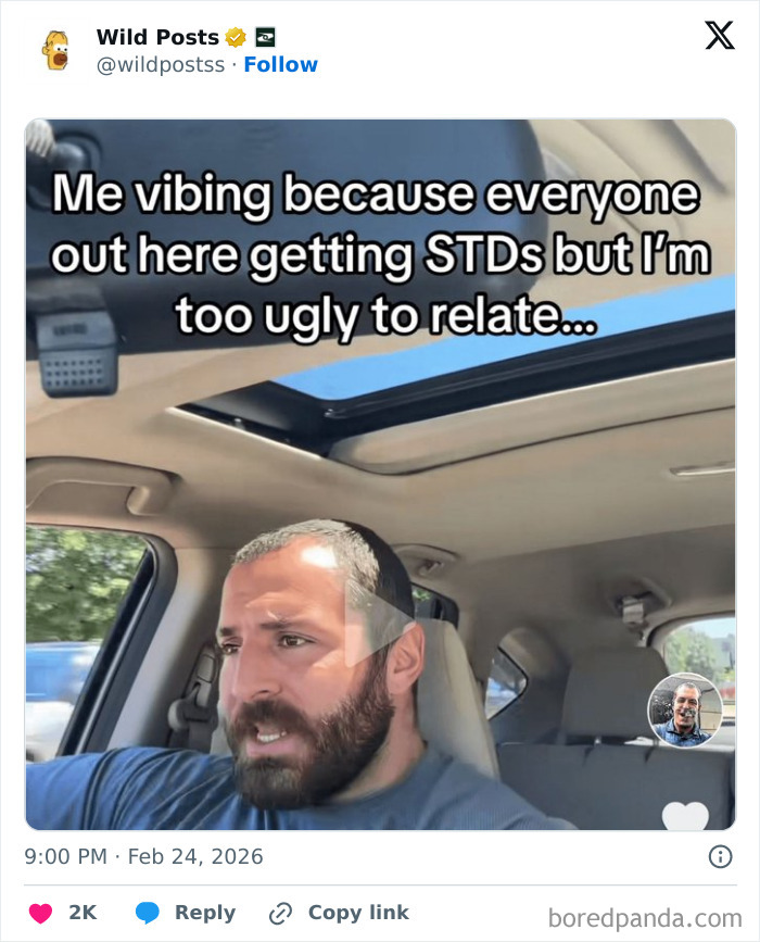 A bearded man in a car, with text overlay: Me vibing because everyone out here getting STDs but I'm too ugly to relate... Wildest Posts from the internet.