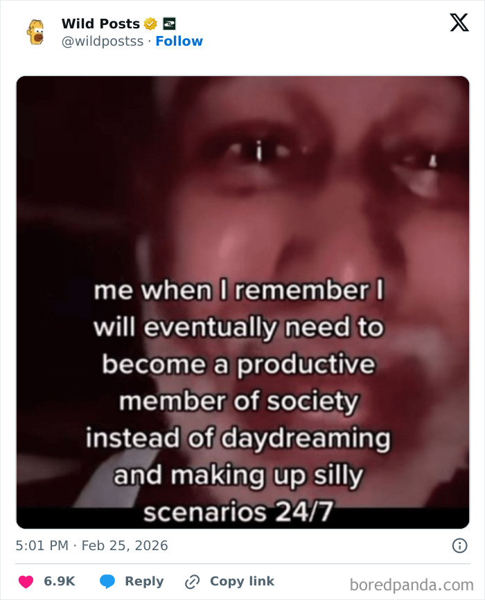 Wild-Internet-Posts