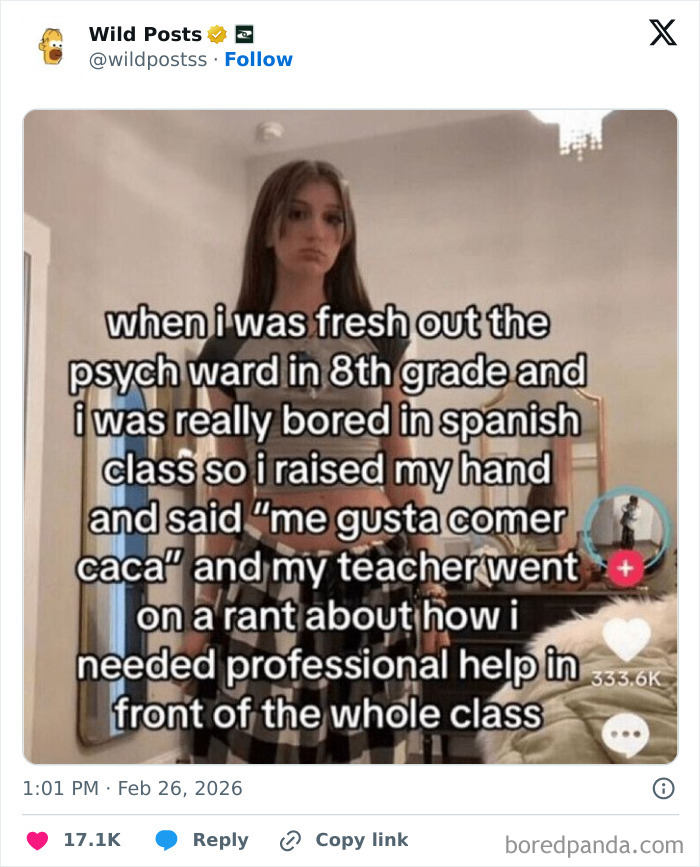 Wild-Internet-Posts