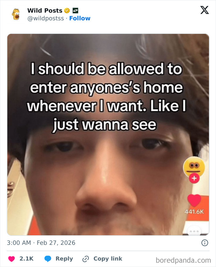 Wild-Internet-Posts