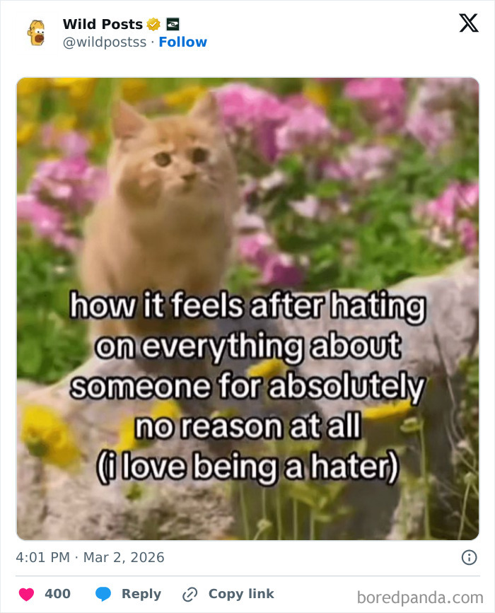 A meme features a bewildered cat in a garden with text about hating without reason. One of the wildest posts.