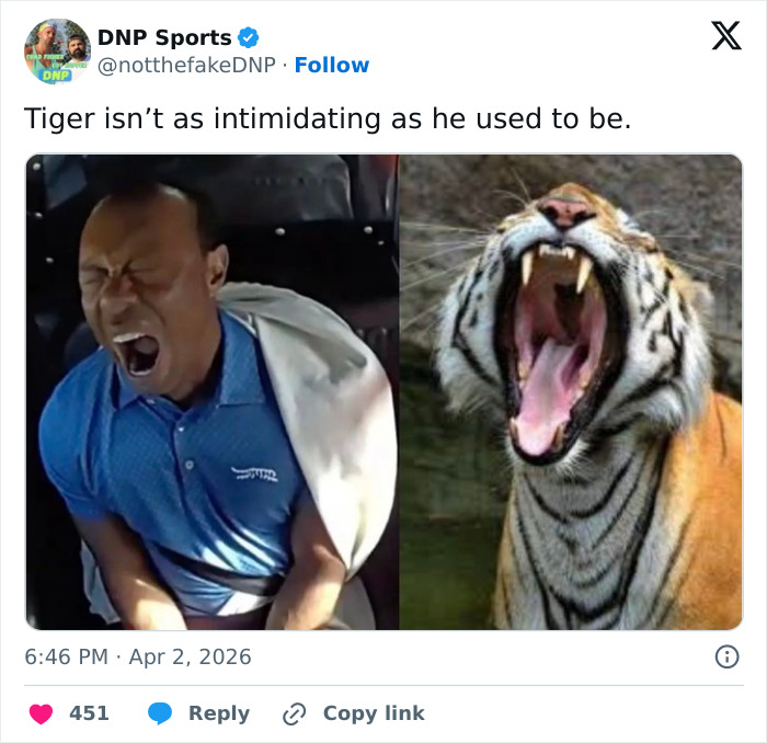 Man in blue shirt yawning inside a car next to a roaring tiger, highlighting humorous responses to footage of Tiger Woods arrest.