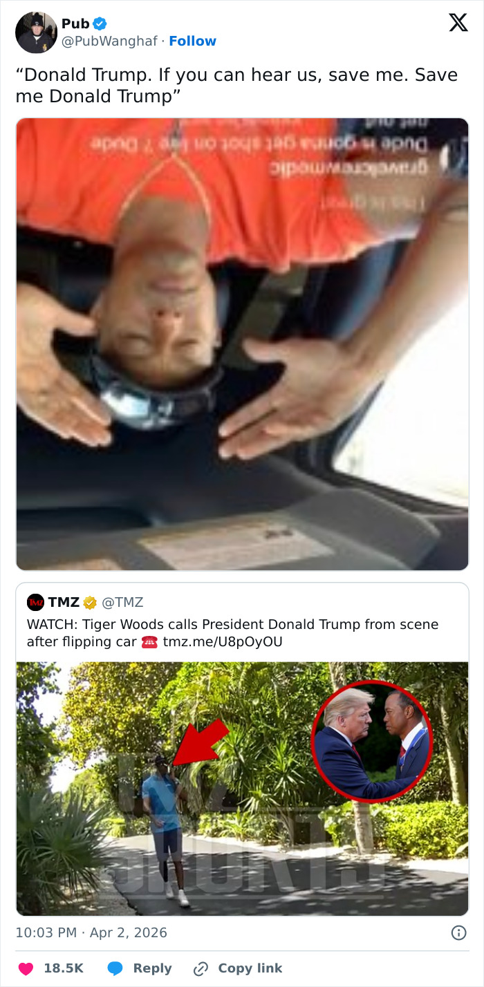 Screenshot of viral social media posts reacting humorously to footage of Tiger Woods arrest and call to Donald Trump.