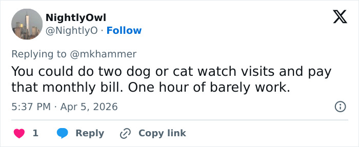 Internautas atacam brutalmente uma mulher por fugir dos EUA para escapar do pagamento do empréstimo estudantil