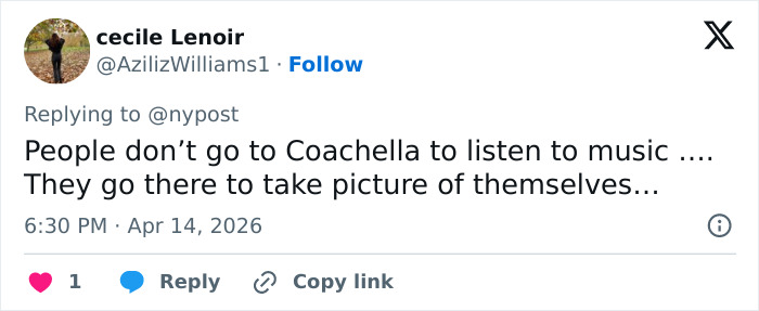 Coachella guest turning heads as most beautiful girl alive, capturing attention at the music festival.