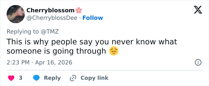 User Cherryblossom responding to TMZ on social media, reflecting on struggles in Virginia Lt. Governor Justin Fairfax case.