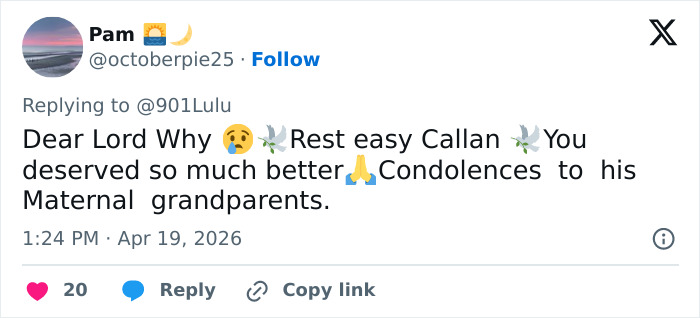 Passado preocupante do pai que acabou com a vida do filho nas superfícies do banheiro do aeroporto enquanto o vovô revela por que ele previu que isso aconteceria