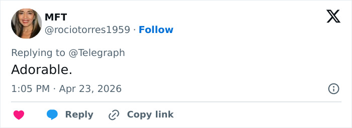 O retrato do príncipe Louis em seu 8º aniversário leva a uma notável comparação familiar