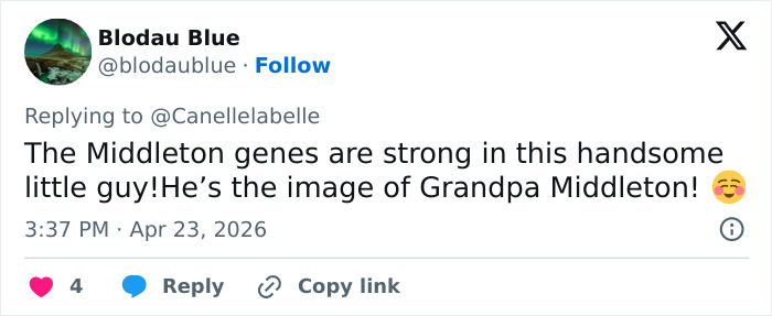 O retrato do príncipe Louis em seu 8º aniversário leva a uma notável comparação familiar