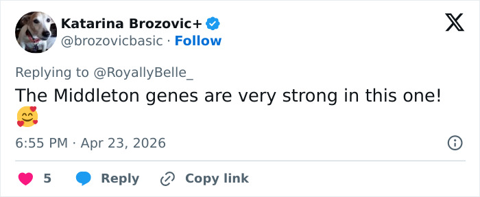 O retrato do príncipe Louis em seu 8º aniversário leva a uma notável comparação familiar