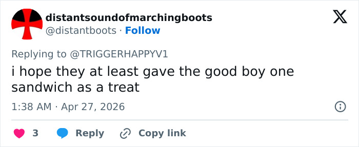 K-9 Beagle da alfândega dos EUA se torna uma sensação viral depois de pegar um passageiro com 100 sanduíches