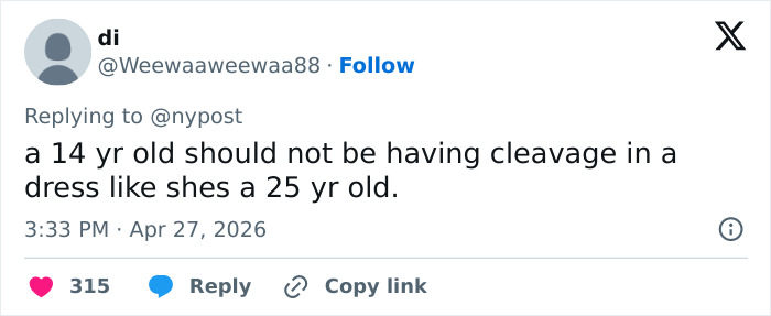 Pink Under Fire Over 14YO Daughter Willow's "Inappropriate" Red Carpet Look