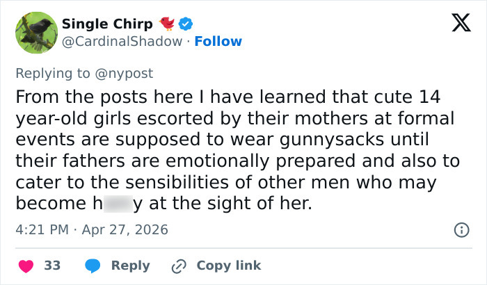 Pink Under Fire Over 14YO Daughter Willow's "Inappropriate" Red Carpet Look