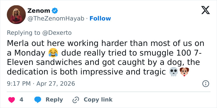 K-9 Beagle da alfândega dos EUA se torna uma sensação viral depois de pegar um passageiro com 100 sanduíches