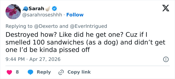 K-9 Beagle da alfândega dos EUA se torna uma sensação viral depois de pegar um passageiro com 100 sanduíches