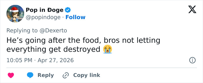 K-9 Beagle da alfândega dos EUA se torna uma sensação viral depois de pegar um passageiro com 100 sanduíches