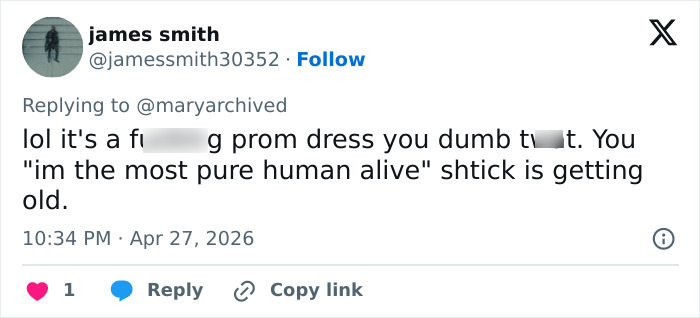 Pink Under Fire Over 14YO Daughter Willow's "Inappropriate" Red Carpet Look