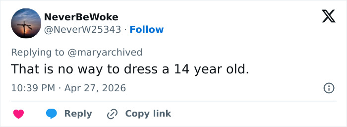 Pink Under Fire Over 14YO Daughter Willow's "Inappropriate" Red Carpet Look