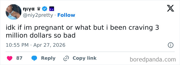 A tweet from @niy2pretty saying, "idk if im pregnant or what but i been craving 3 million dollars so bad." One of many hilarious tweets.