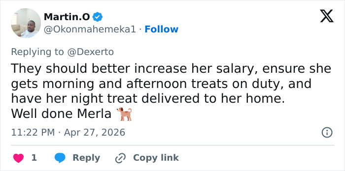 K-9 Beagle da alfândega dos EUA se torna uma sensação viral depois de pegar um passageiro com 100 sanduíches