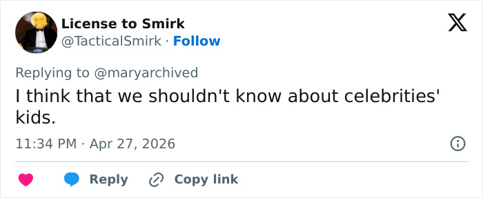 Pink Under Fire Over 14YO Daughter Willow's "Inappropriate" Red Carpet Look