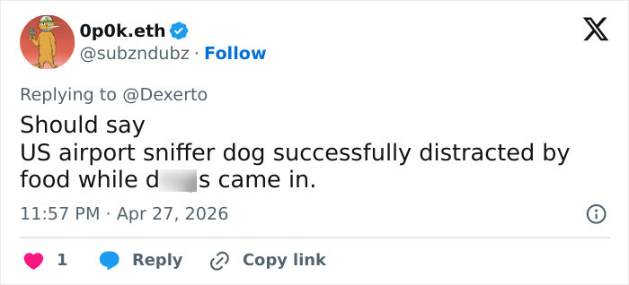 K-9 Beagle da alfândega dos EUA se torna uma sensação viral depois de pegar um passageiro com 100 sanduíches