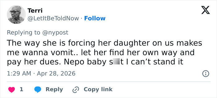 Pink Under Fire Over 14YO Daughter Willow's "Inappropriate" Red Carpet Look