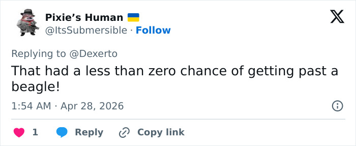K-9 Beagle da alfândega dos EUA se torna uma sensação viral depois de pegar um passageiro com 100 sanduíches