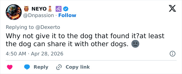 K-9 Beagle da alfândega dos EUA se torna uma sensação viral depois de pegar um passageiro com 100 sanduíches