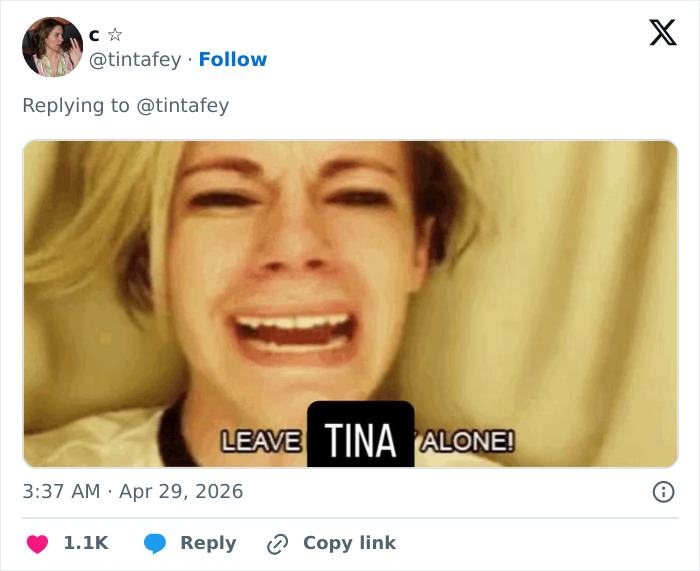 Timothée Chalamet criticado pelos fãs 