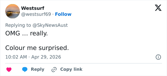 Olympic Sensation Raygun Faces Major Setback As She Loses Cushy University Job