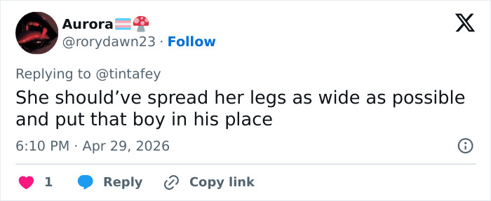 Timothée Chalamet criticado pelos fãs 