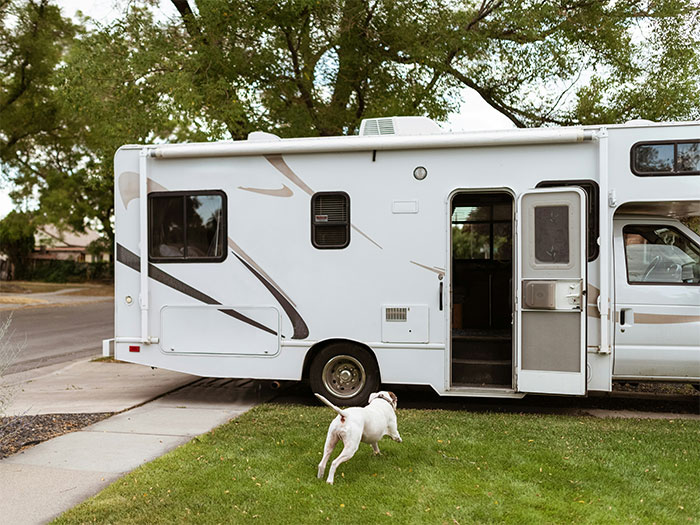 White RV parked on a driveway with a dog running on the grass, illustrating a woman sharing a crazy story about her mom.