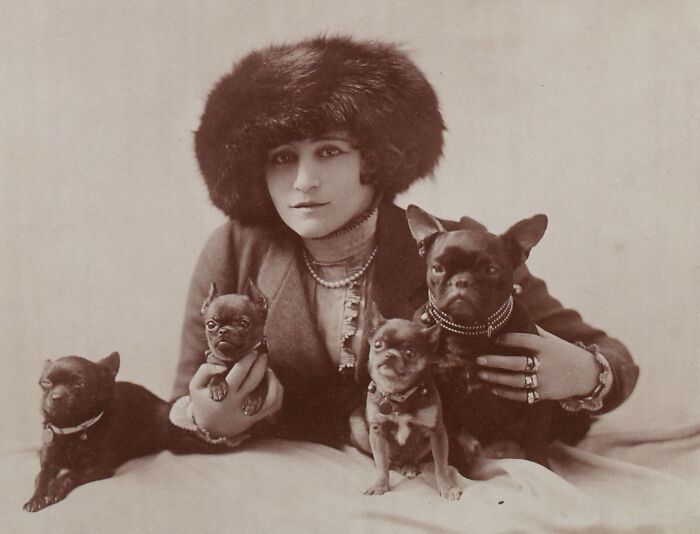 This Instagram Page Is Bringing Forgotten Dogs From History Back To Life In The Most Heartwarming Way(45 Pics)