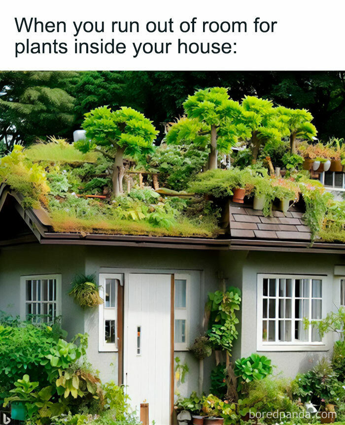 A house with a roof covered in plants and trees, surrounded by more greenery, illustrating a crazy plant parent.
