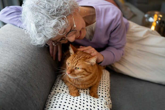 Elderly woman with grey hair and glasses tenderly pets an orange cat on a sofa, finding peace from things medical workers witnessed.