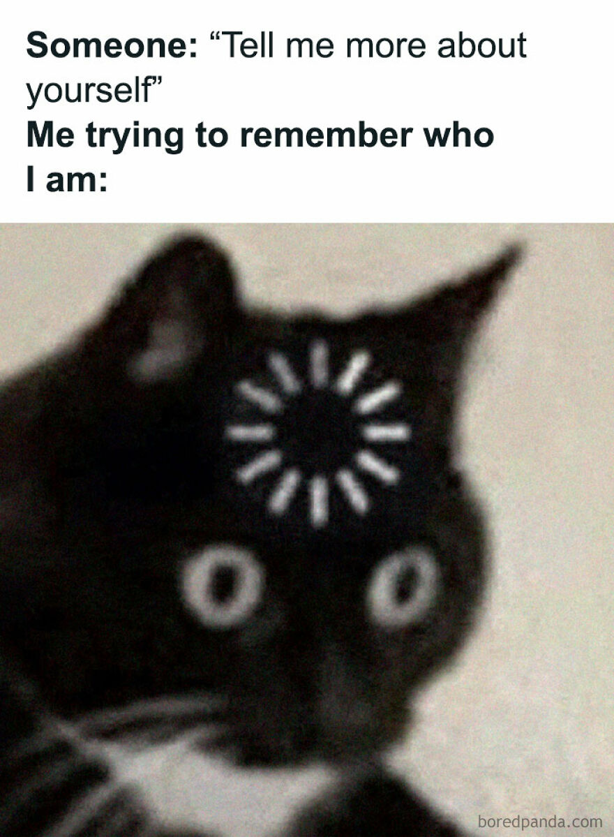 Funny meme of a black cat with a loading icon on its head, relating to identity struggles. Relatable memes for distraction.