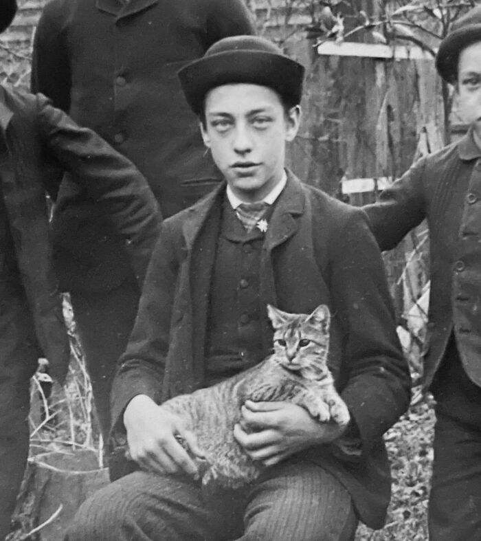 These Charming Vintage Cat Photos Are Taking Over Instagram—and People Can’t Get Enough (30 Pics)