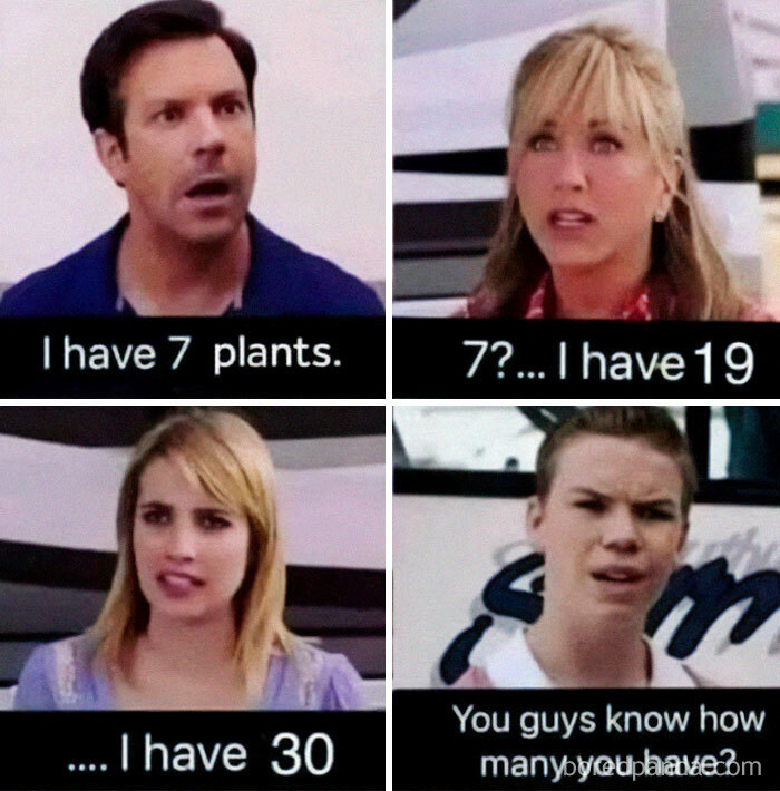 A meme showing four characters from We're the Millers discussing the number of plants they own. A funny plant parent post.