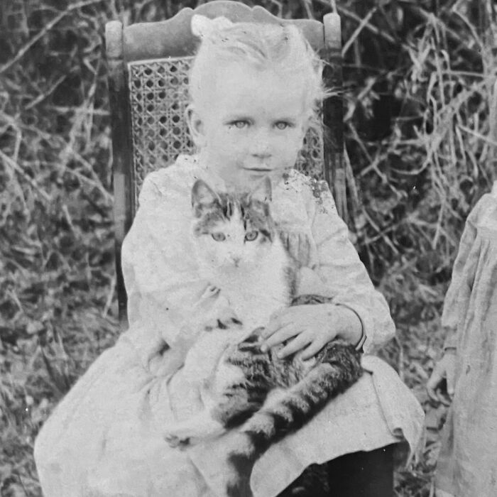 These Charming Vintage Cat Photos Are Taking Over Instagram—and People Can’t Get Enough (30 Pics)