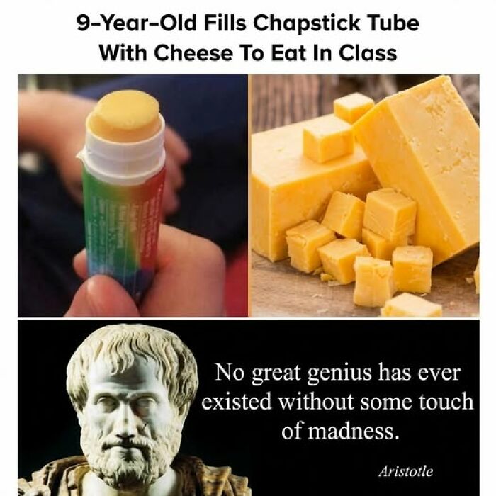 Hand holding a chapstick filled with cheese, blocks of cheese on a table, and a Aristotle quote about genius and madness.