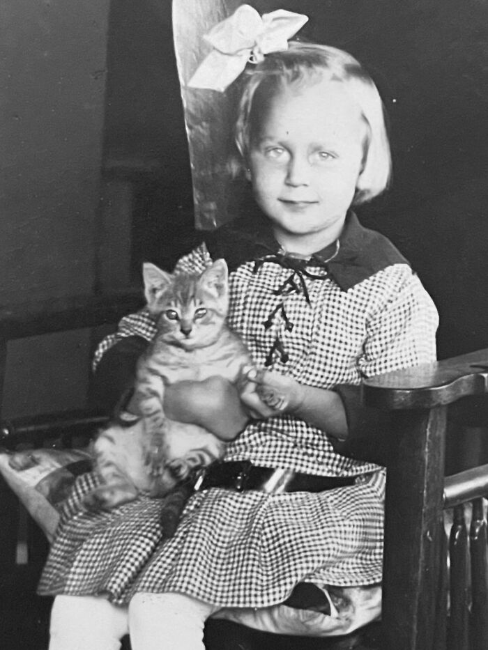 These Charming Vintage Cat Photos Are Taking Over Instagram—and People Can’t Get Enough (30 Pics)