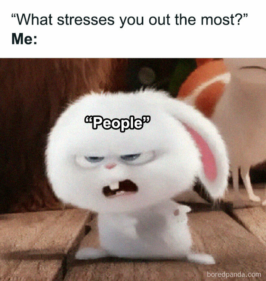 Funny-Relatable-Introvert-Memes